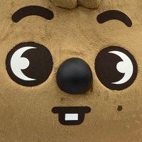 햄찌 (@dongdong326) 's Twitter Profile