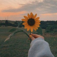 Fareeha Latif (@fareeha_ms) 's Twitter Profile