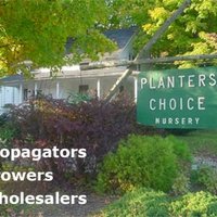 Planters' Choice (@planterschoice) 's Twitter Profile