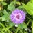 noehmi_porras's profile image