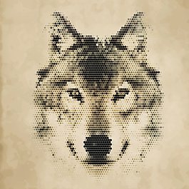 g63536412's profile picture. g63536412