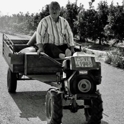 SRotovator's profile picture. Entre l'alquería y el mas.Del Castelló i apolític.