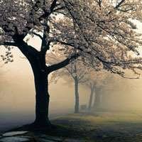 i54654323's profile picture. i54654323