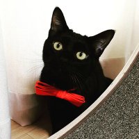 밴타 (@vantablack627) 's Twitter Profile Photo