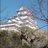 野球大好き!のアイコン