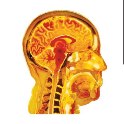 vonHagensPlast's profile picture. Real Anatomy for Teaching - Anatomical Human Plastinates from the inventor of Plastination, Gunther von Hagens.