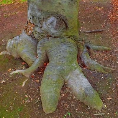 三木研さんのプロフィール画像