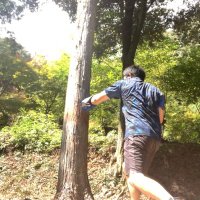 ゆーろ＠元Eurokenshi (@eurokenshi) Twitter profile photo