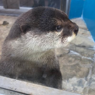 1007_jyun's profile picture. 雑食のオタク 20↑↑