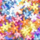 Sandra Buis - @SandraBuis - Twitter