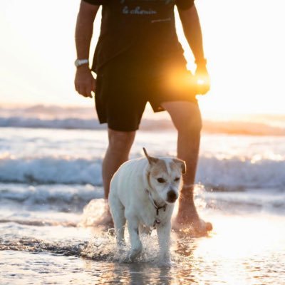 Stellenbosch, home for the family and rescue pooches, sustainable farmed delicious wine bottled sunshine! Chenin Blanc, and Rhone style blends, live life fully!