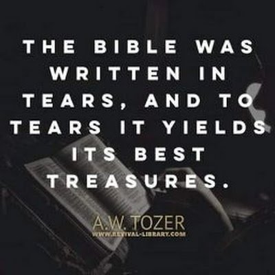 Danielikechuk's profile picture. A guy, love to write, read, and learn