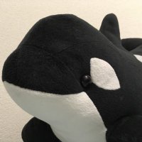 タ、マ示 (@htt1983) 's Twitter Profile