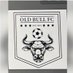 The old bull fc (@theoldbullfc1) Twitter profile photo The old bull fc (@theoldbullfc1) Twitter profile photo