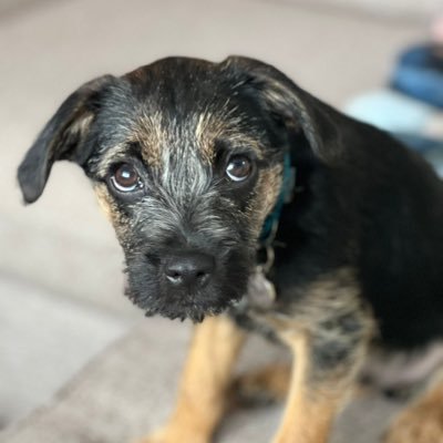 dactherapy's profile picture. 