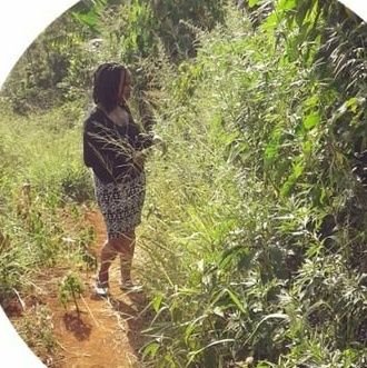 bernycenjoki's profile picture. Green living🌿                                                               
Protect the earth from #plastics🌍💚                 
Reuse ♻️ Recycle