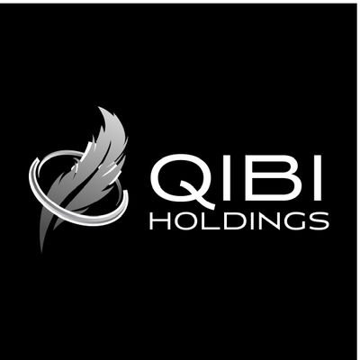 Director: Qibi Holdings Legal Consultancy
Email: Info@qibiholdings.co.za 
TEL: 011 5683343
Former Regional Court Prosecutor( Pretoria)