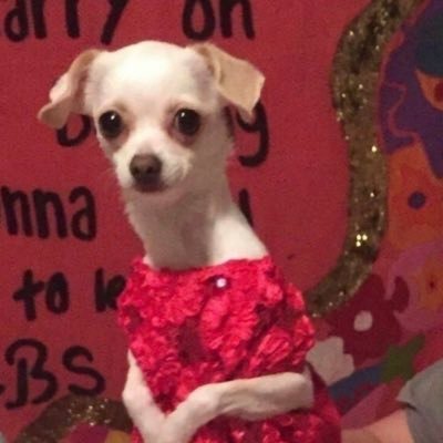 cloudynight801's profile picture. my feelings got dropped here🌪 صديقاتي معاي بالجنة بأذن الله . 🧚🏻‍♀️