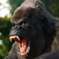 BEAST Texas Standouts (@standbeast) 's Twitter Profile