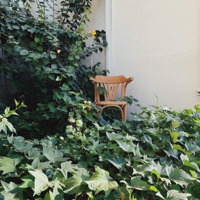 aaii8778's profile picture. واجعل لياليك أحلاما مغردةً .. إن الحياة و ما تدوي به حلمُ!