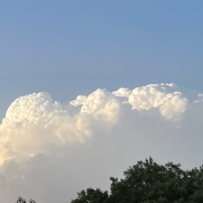 fengchengxi's profile picture. researcher on psychology