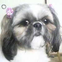KU_Ta (@armitage_take) 's Twitter Profile Photo KU_Ta (@armitage_take) 's Twitter Profile Photo