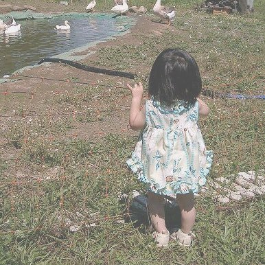 chan____rp's profile picture. 陳内将さん リプとお絵描き🐹