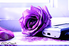 amandalokinha35's profile picture. 