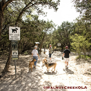 One of Austin's best kept secrets. This dog park is worth the drive to explore. Trails, water and prairies for dogs to let loose.