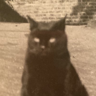 seemorecats's profile picture. こどもとわたし、ねない子クラブ、五月雨登校、などなど。HSCの女の子育児記録。または自分を保つための独り言。Ｂ面タイプ。本や芸術全般が好き。子ども心だいぶ残したまま大人になってしまった。