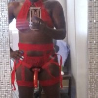 BigClit4WetHole (@bussylover480) 's Twitter Profile