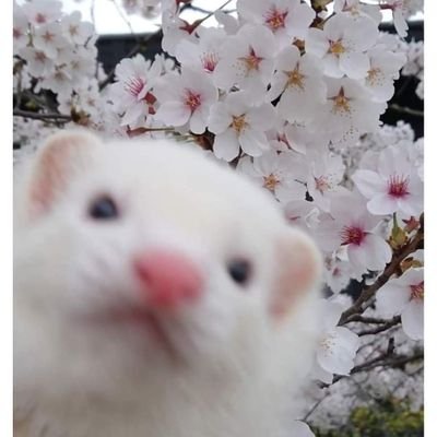 hugs and kit kats dude. Let's get funky like a monkey.
Follow me on twitch, https://t.co/CaLprcYkxU
It's *insert day*, you know what that means.