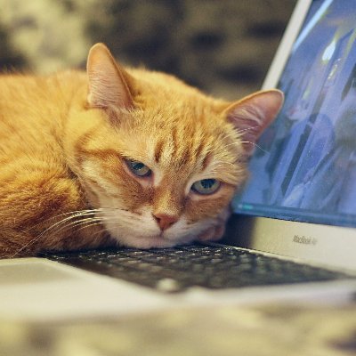 Cal_Cybr's profile picture. 4th yr CompSci @KingsCollegeLon
Cybersecurity Enthusiast
Software Dev