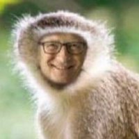 Catlaus Shwamp (@helloplsstop) 's Twitter Profile