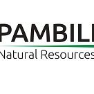 Pambili Natural Resources Corporation (TSX-V: PNN) is a natural resources exploration and development company active in both Zimbabwe and Canada.