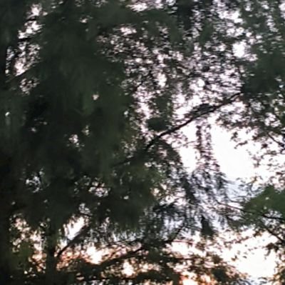 kkai174's profile picture. 