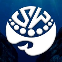Swaggy Whales | Sold out (@swaggywhalesmc) 's Twitter Profile Photo Swaggy Whales | Sold out (@swaggywhalesmc) 's Twitter Profile Photo