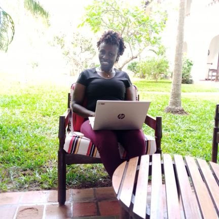 sinocaro's profile picture. 