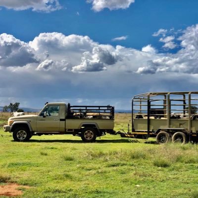 turambu's profile picture. We all want to live a happy life; we don’t want to be miserable. We can overcome the problems we make for ourselves.