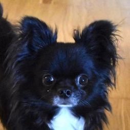 AndersBergquis1's profile picture. Journalist i 35 år. Nu på BLT i Sölvesborg. Älskar min familj, AIK, Mjällby och amerikansk fotboll.