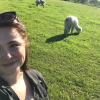 Kathy van Leeuwen (@kathyvanl) 's Twitter Profile