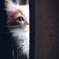 Beth (@bcutna) 's Twitter Profile