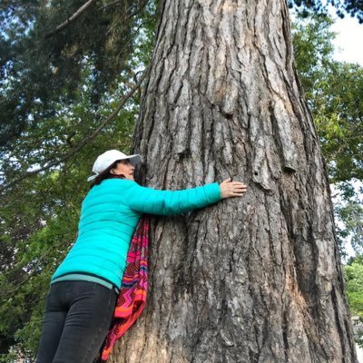 #Meditation and #Mindfulness #treehugger