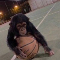 Jake (@zebracs) 's Twitter Profile Photo Jake (@zebracs) 's Twitter Profile Photo