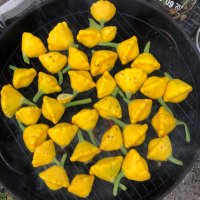 mikebeck (@dashtruck) 's Twitter Profile Photo mikebeck (@dashtruck) 's Twitter Profile Photo