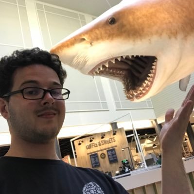 PhD student in shark functional diversity @SwanseaUni, @TheFSBI & @PimientoGroup. Also works on megalodon. Scottish. Cyclist & moviegoer. Cat person.