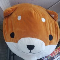 🔰徒歩ソロキャンパーぽん🏕！ (@ponsolocan) Twitter profile photo