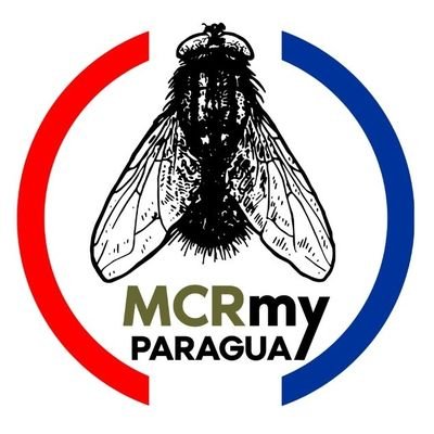 Fan Club Oficial de My Chemical Romance Paraguay.