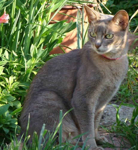 TSemko1's profile picture. 