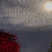 ……. (@alsadiibrahim8) 's Twitter Profile